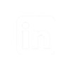 portfolio link icon