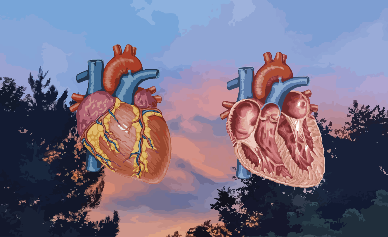2ofHearts