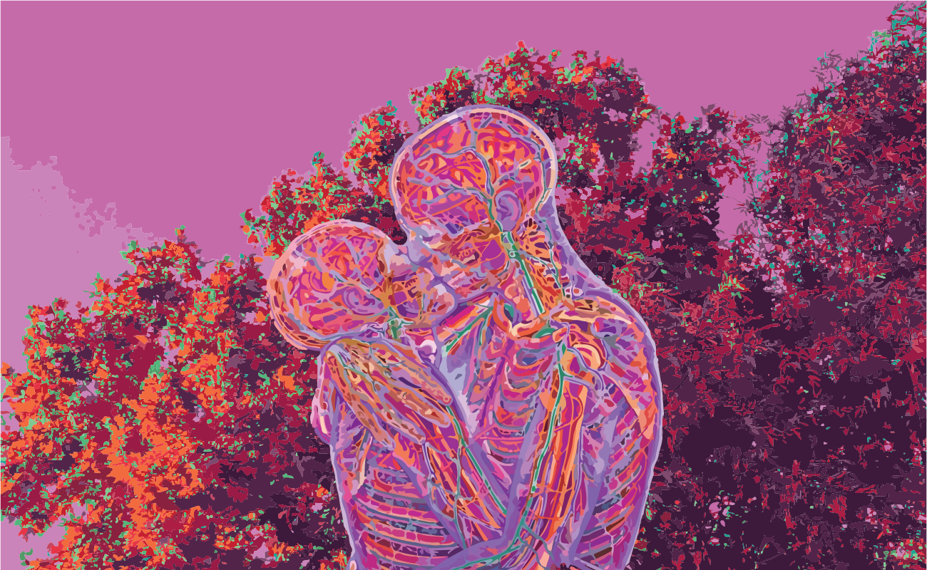 embrace